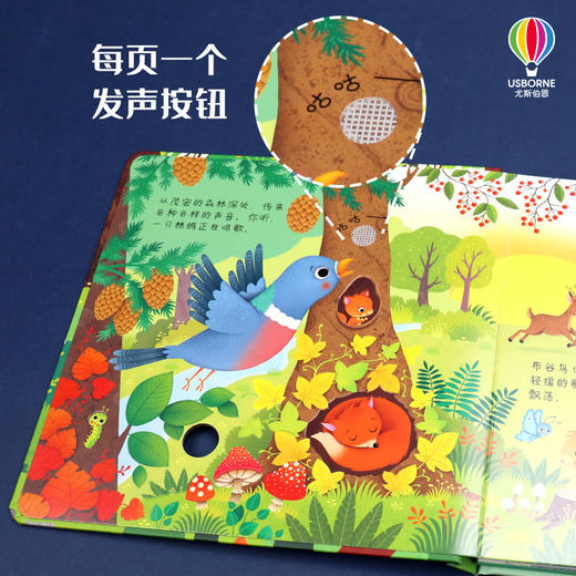 奇妙发声书  森林里边住着谁 商品图3