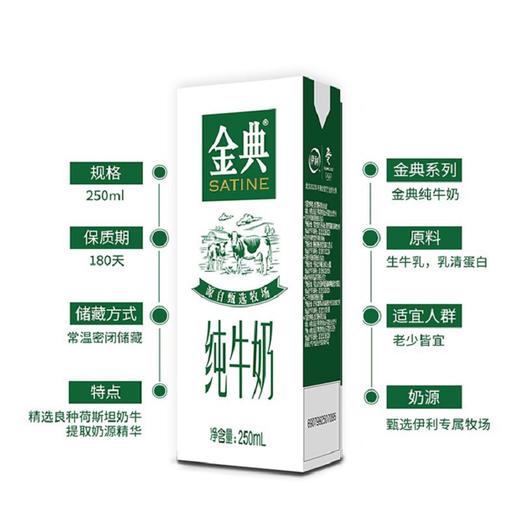 伊利金典纯牛奶  1*250ml*12 商品图3