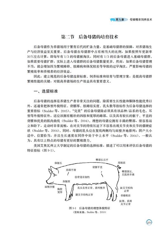 母猪营养代谢与精准饲养 商品图3