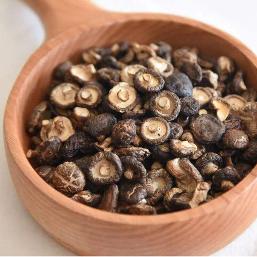 四川仪陇干珍珠菇1斤 商品图0