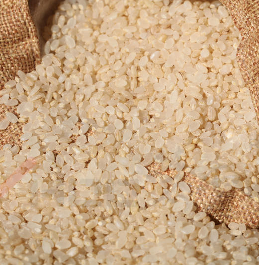 有机胚芽米 5斤礼盒装 商品图3