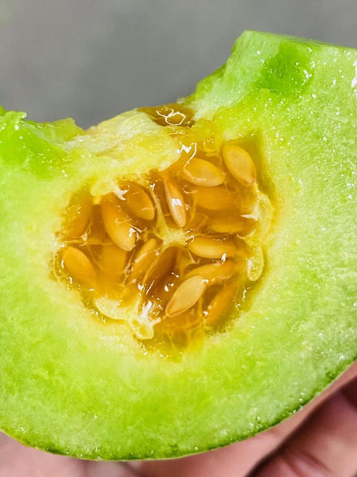 只发同城新品羊角蜜削皮吃老藤老瓜很甜蜜脆不愣噔爽口多汁饱腹解渴0