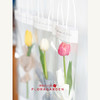 单支郁金香袋装（15枝起订） 商品缩略图1