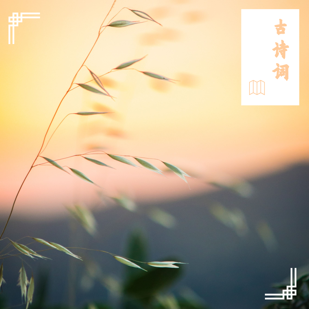 古诗词