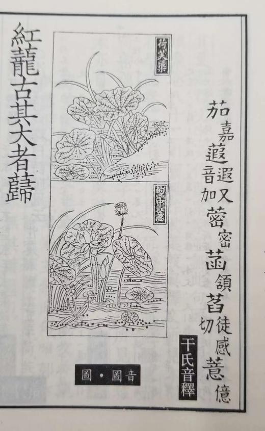 《尔雅诂林》 全7册 16开精装厚册  影印本  朱祖延主编  湖北教育出版社2014年版 商品图1