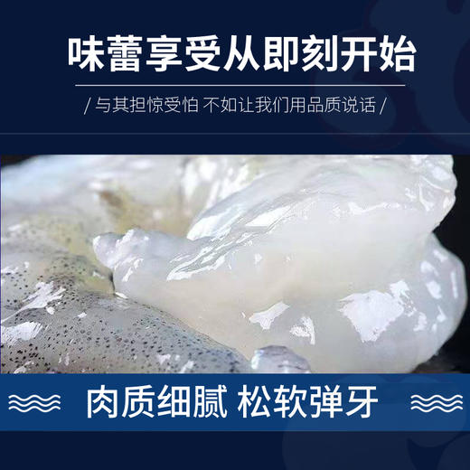【顺丰包邮】青岛新鲜大虾仁鲜活气冻青虾仁250克2包 商品图2