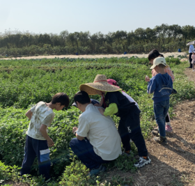 研学课程 | 农园活动 * Study course | Farm activities