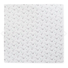 韩国 可爱 Line Friends棕色纱布毯子JPY带授权招加盟代理