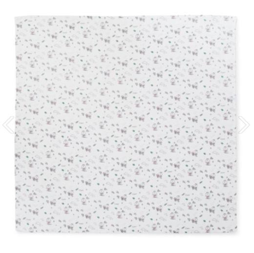 韩国 可爱 Line Friends棕色纱布毯子JPY带授权招加盟代理 商品图0