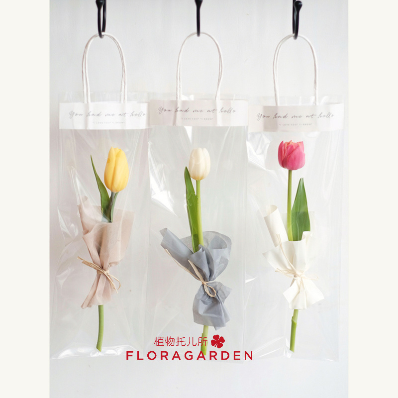 单支郁金香袋装（15枝起订）