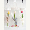 单支郁金香袋装（15枝起订） 商品缩略图0