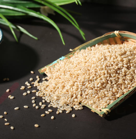 有机糙米 5斤礼盒装 商品图3