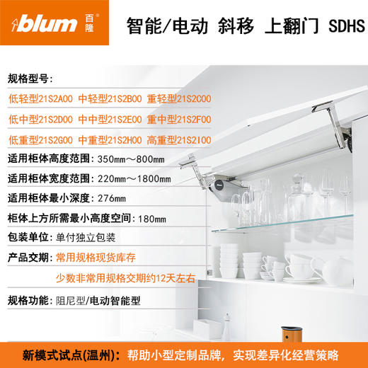 智能斜移上翻门SDHS(配套电源需另购) 商品图0