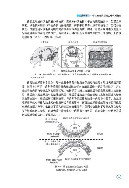 母猪营养代谢与精准饲养 商品图1