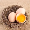 四川仪陇县丁家农家散养土鸡蛋（100枚） 商品缩略图1