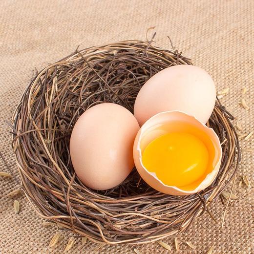 四川仪陇县丁家农家散养土鸡蛋（100枚） 商品图1