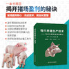 现代养猪生产技术 商品缩略图0