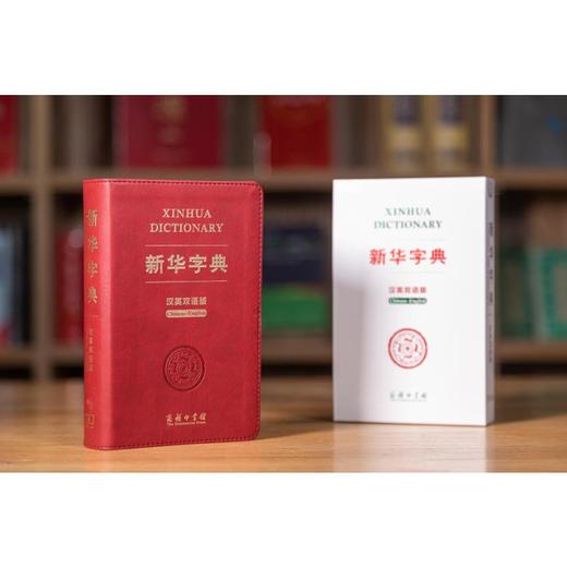 新华字典 汉英双语版 商品图1
