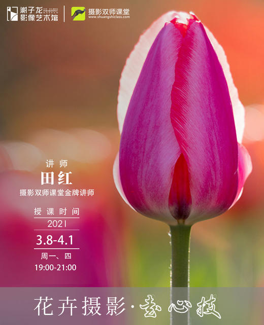 摄影课程：《花卉摄影·走心技》课程说明 商品图0