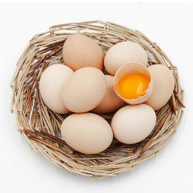 四川仪陇县丁家农家散养土鸡蛋（100枚）