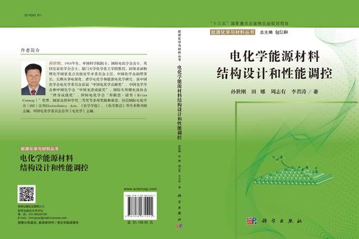 电化学能源材料结构设计和性能调控/孙世刚 商品图3