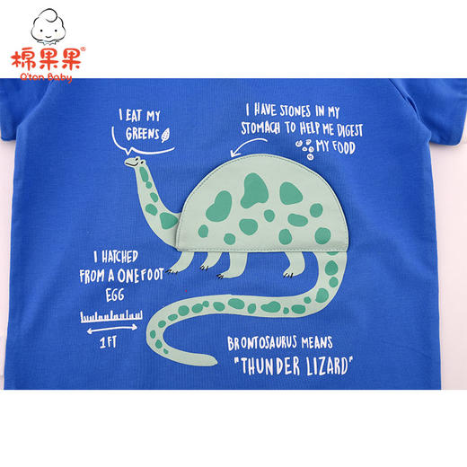 棉果果夏季男童氨棉汗布套头T恤M212140221254 商品图4