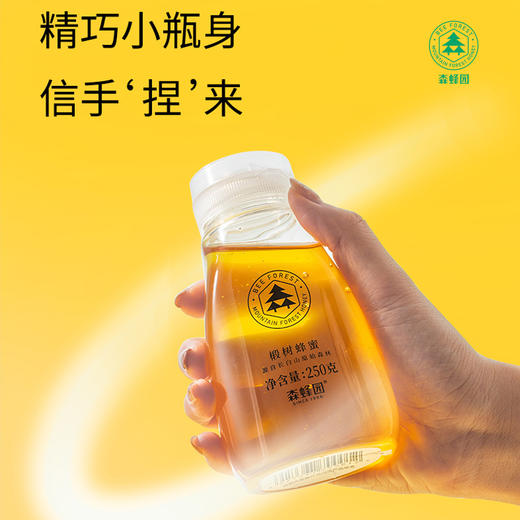 《南方寝饰员工专场》》森蜂园蜂蜜250g挤压瓶方便食用挤压段树蜂蜜250g洋槐蜂蜜250g 商品图3
