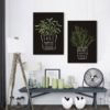 【装饰画】*现代简约植物创意黑底装饰画 商品缩略图2