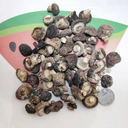 四川仪陇干珍珠菇1斤 商品图2