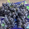 黑玫瑰葡萄 商品缩略图0