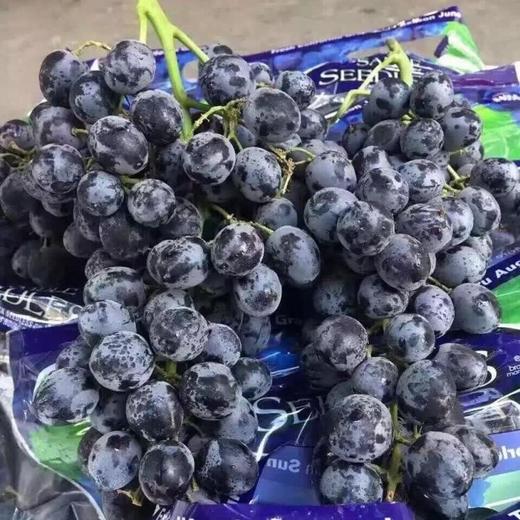 黑玫瑰葡萄 商品图0
