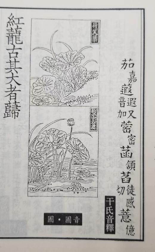 《尔雅诂林》 全7册 16开精装厚册  影印本  朱祖延主编  湖北教育出版社2014年版 商品图3