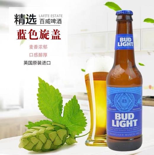 【旋盖】进口百威啤酒 300ml* 商品图0