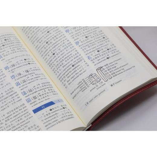 新华字典 汉英双语版 商品图3