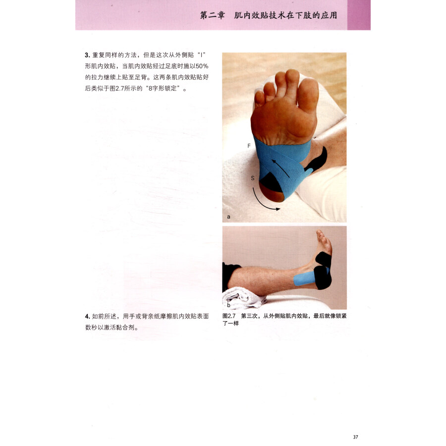怕小腿变粗 首先区分 小腿变粗 的原因 教你辨别的方法 三头肌 肌肉 张力 肌腱 胫骨 网易订阅