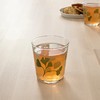 IKEA 宜家 STILENLIG 斯缇冷里 杯子 透明玻璃 叶子图案 绿色 30 厘升 商品缩略图2