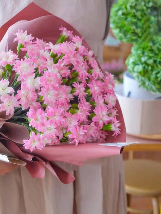 康乃馨【 时间是让人猝不及防的东西，偷走了青丝，留住你】简小姐精选 稀有康乃馨  2件包邮 下单48小时发货 商品图10