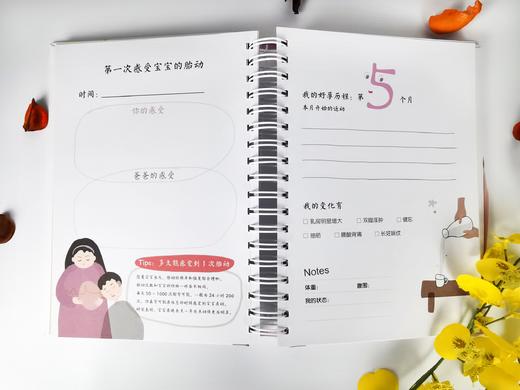 《宝贝，来啦！》孕期手账 商品图2