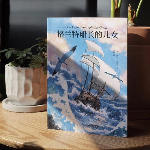 格兰特船长的儿女 法中直译全译本 法国科幻小说之父 凡尔纳海洋三部曲 青少年成长探险小说 关于爱 勇气与决心 商品图1