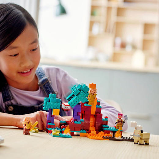 乐高我的世界21168诡异森林 商品图2