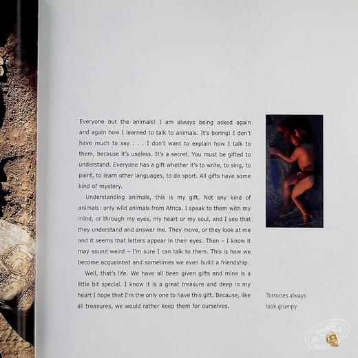 预售 【中商原版】我的野生动物朋友 豆瓣高分 英文原版 Tippi: My book of Africa 法国 自然 动物 蒂皮·德格雷 Tippi Degre 商品图4