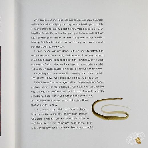 预售 【中商原版】我的野生动物朋友 豆瓣高分 英文原版 Tippi: My book of Africa 法国 自然 动物 蒂皮·德格雷 Tippi Degre 商品图5