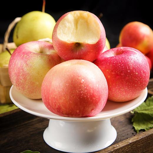 【山东红富士苹果】甜蜜多汁 果香浓郁 皮薄肉厚 4.5斤装 商品图2