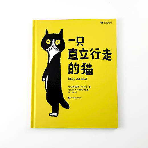 【套装】一条长长的狗+一只直立行走的猫 后浪浪花朵朵 商品图1