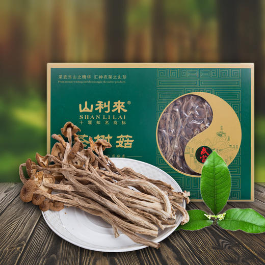 【山利来】茶树菇260g/盒 商品图0