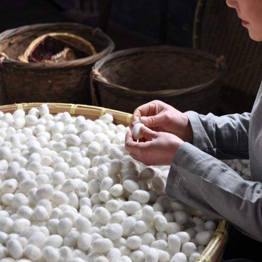 双宫茧蚕丝被，手工制作，下单后10天发货丨期颐健中  定制产品，发出后非质量问题，不退不换。 商品图3