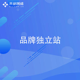 品牌独立站