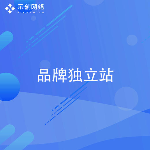 品牌独立站 商品图0