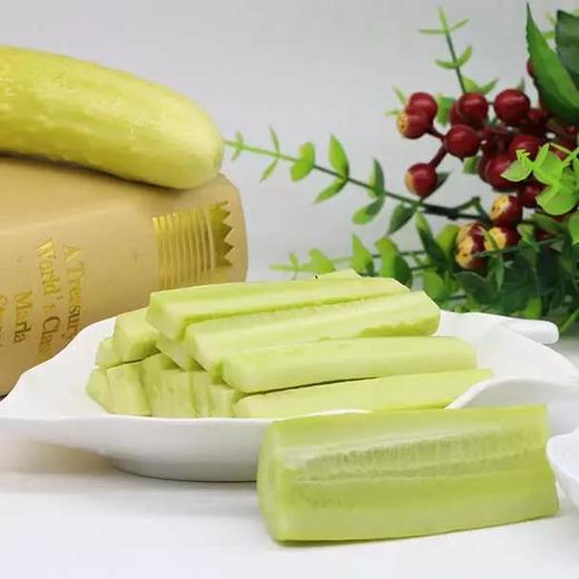 【山东白玉黄瓜 】脆嫩可口 肉质紧密 4.5斤 商品图3