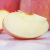 【山东红富士苹果】甜蜜多汁 果香浓郁 皮薄肉厚 4.5斤装 商品缩略图1